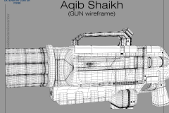 Aqib-Shaikh_Gun
